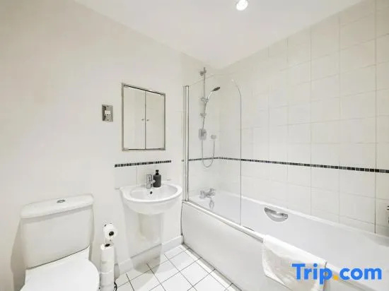 Baltic Apartment in Docklands near O2 & Canary wharf