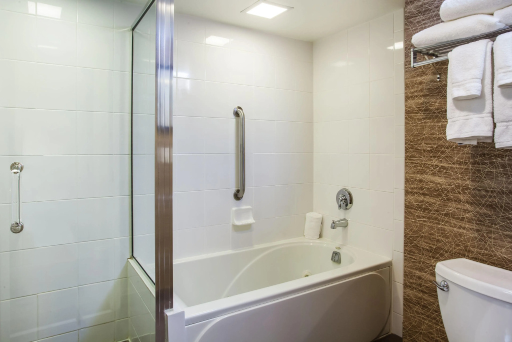 Holiday Inn Saratoga Springs by IHG - Général