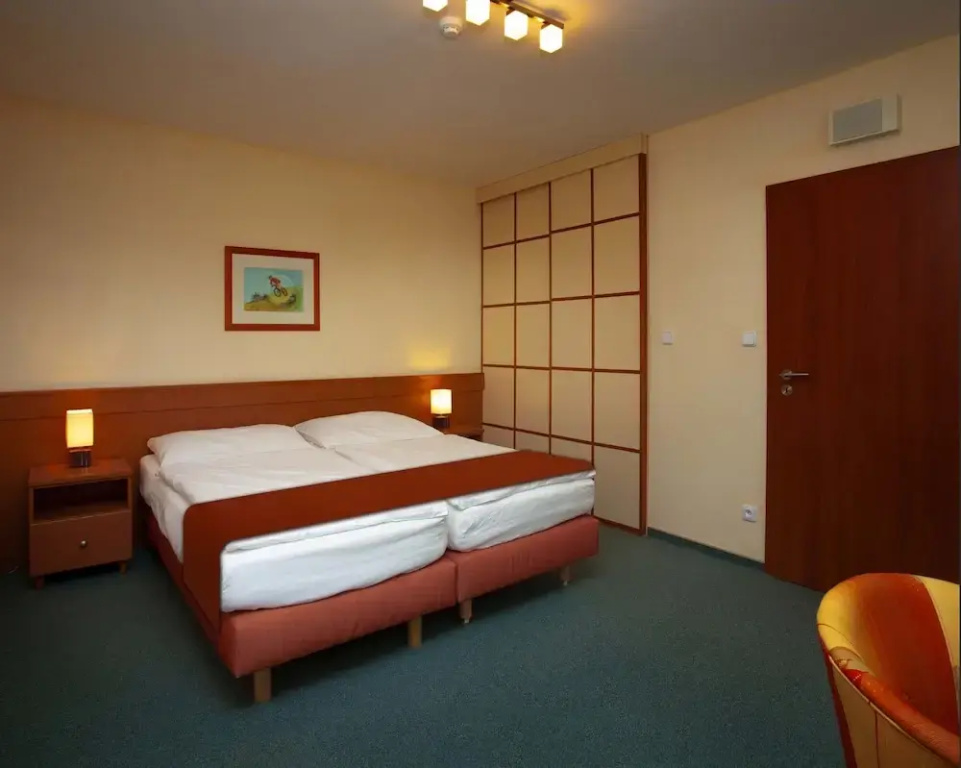 Hotel Petrovy kameny - Général