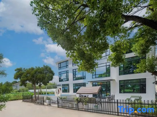 Shanghai Daju Homestay (Shanghai International Tourism Resort)