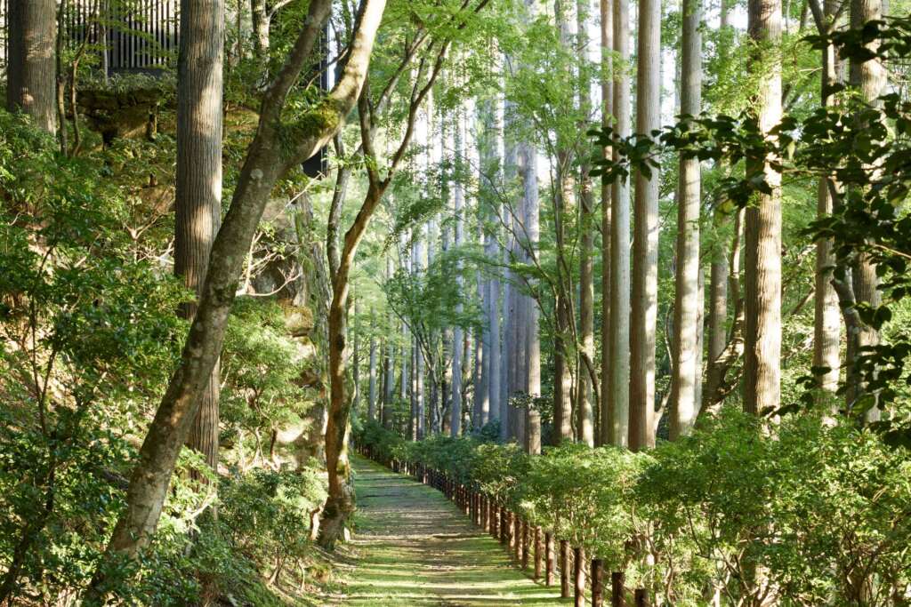 Aman Kyoto Image 21
