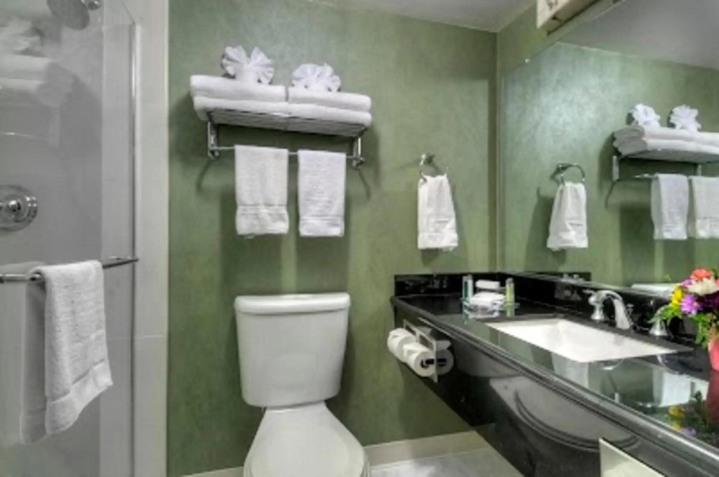 Hotel photo 10