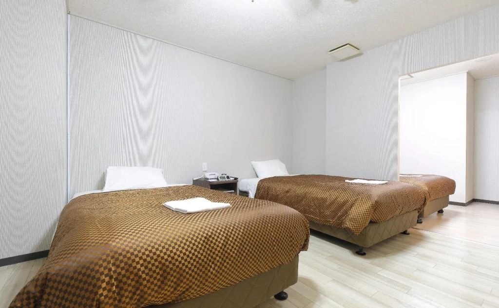 Reco Hotel Mikuni - фото 3