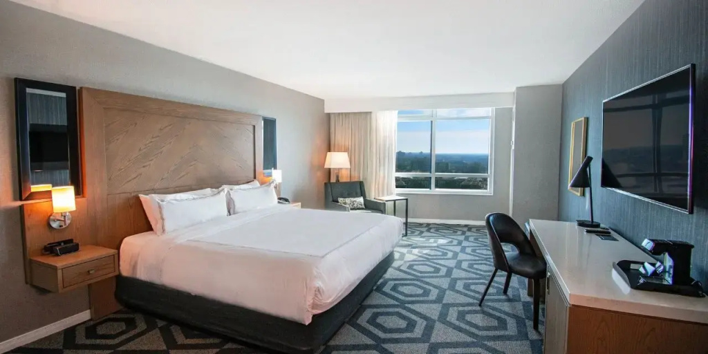 Deluxe Double room with city view full double bed