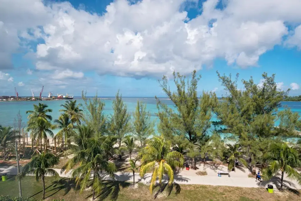 Courtyard by Marriott Nassau Downtown/Junkanoo Beach - Chambres