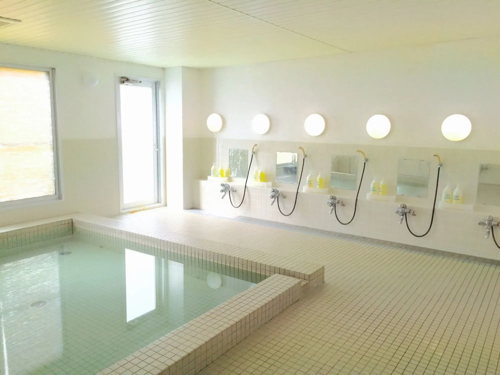 Ryuoo Park Hotel - Général