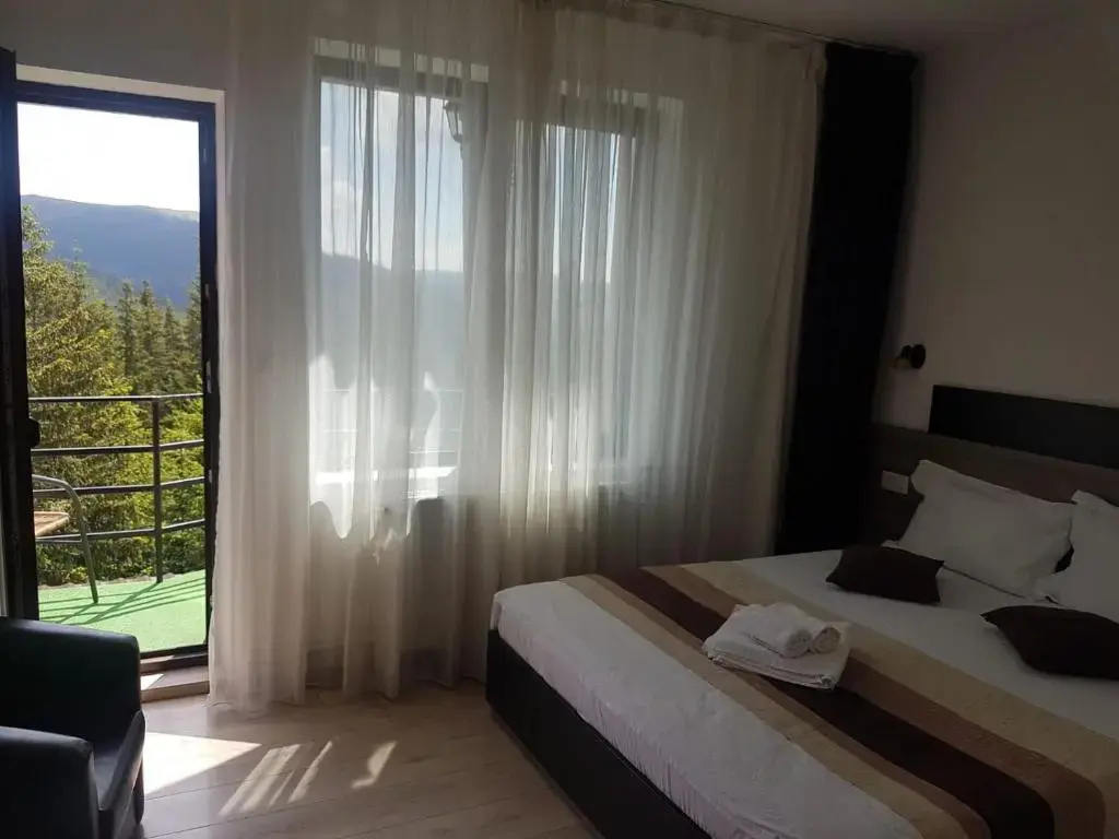 Standard Double room with mountain view (full double bed)