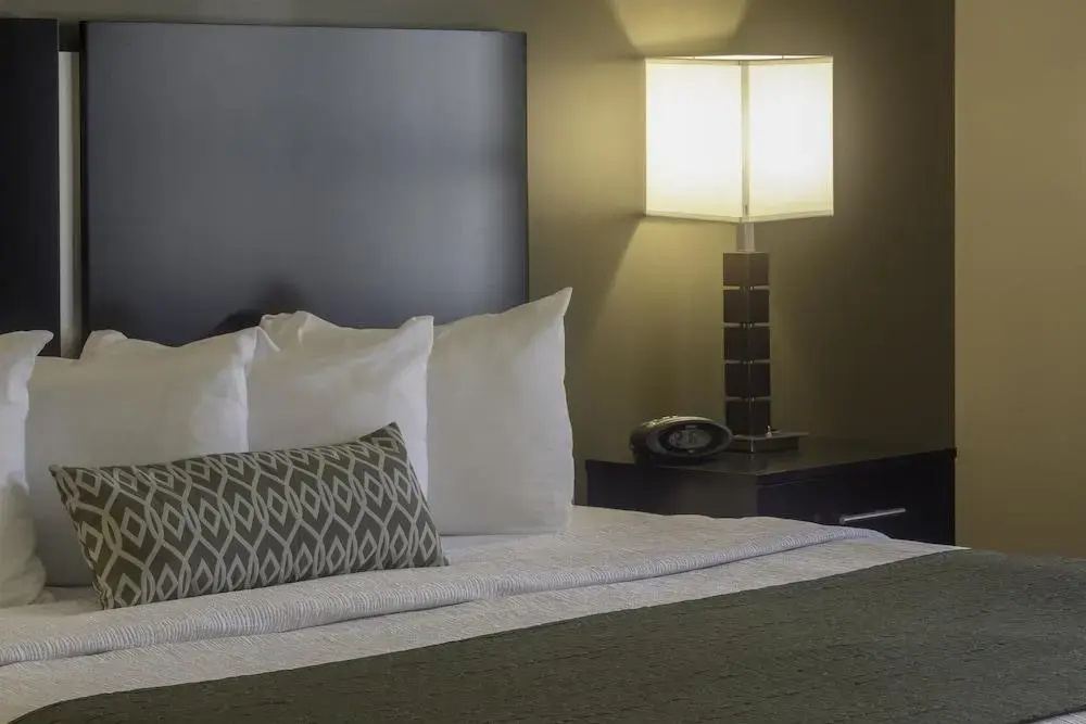Best Western Plus Franciscan Square Inn and Suites Steubenville - Général