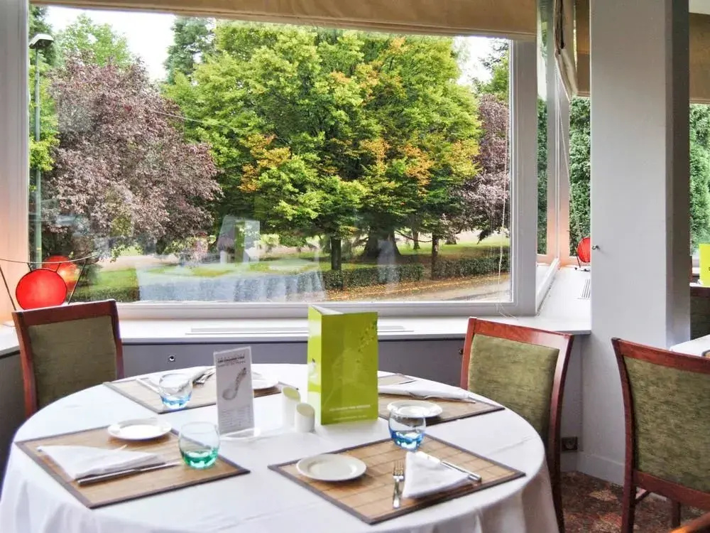 Hotel Mercure Saint-Etienne Parc de l Europe - Général