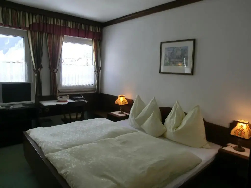 Standard Double room with mountain view (full double bed)
