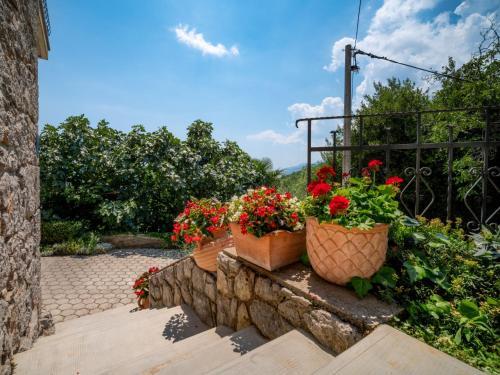 Отель Apartment Evići, фото 14