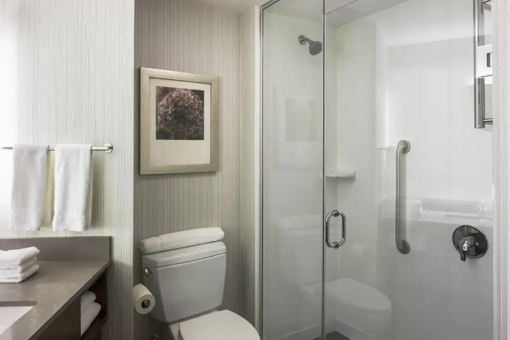 Hilton Garden Inn Long Island City New York - Chambres