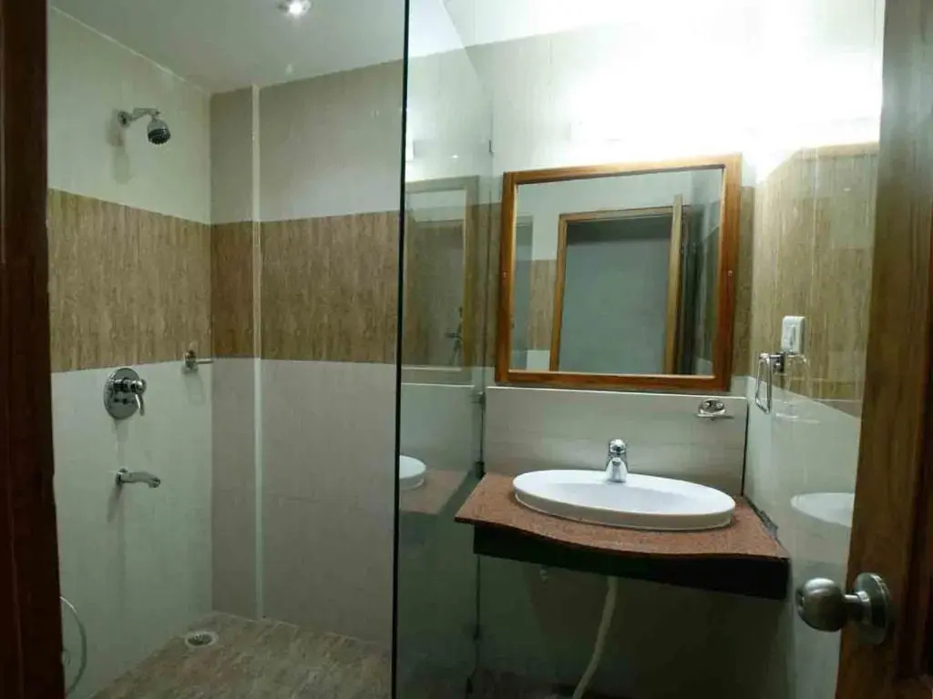 Deluxe Double room (full double bed)