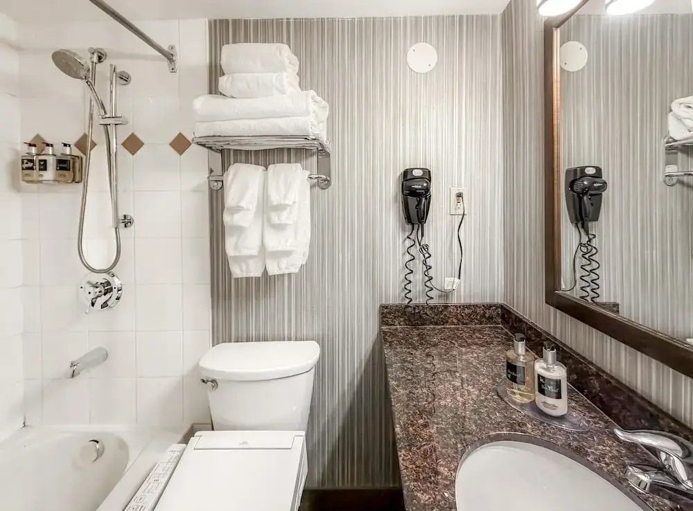 Premium Quadruple Studio