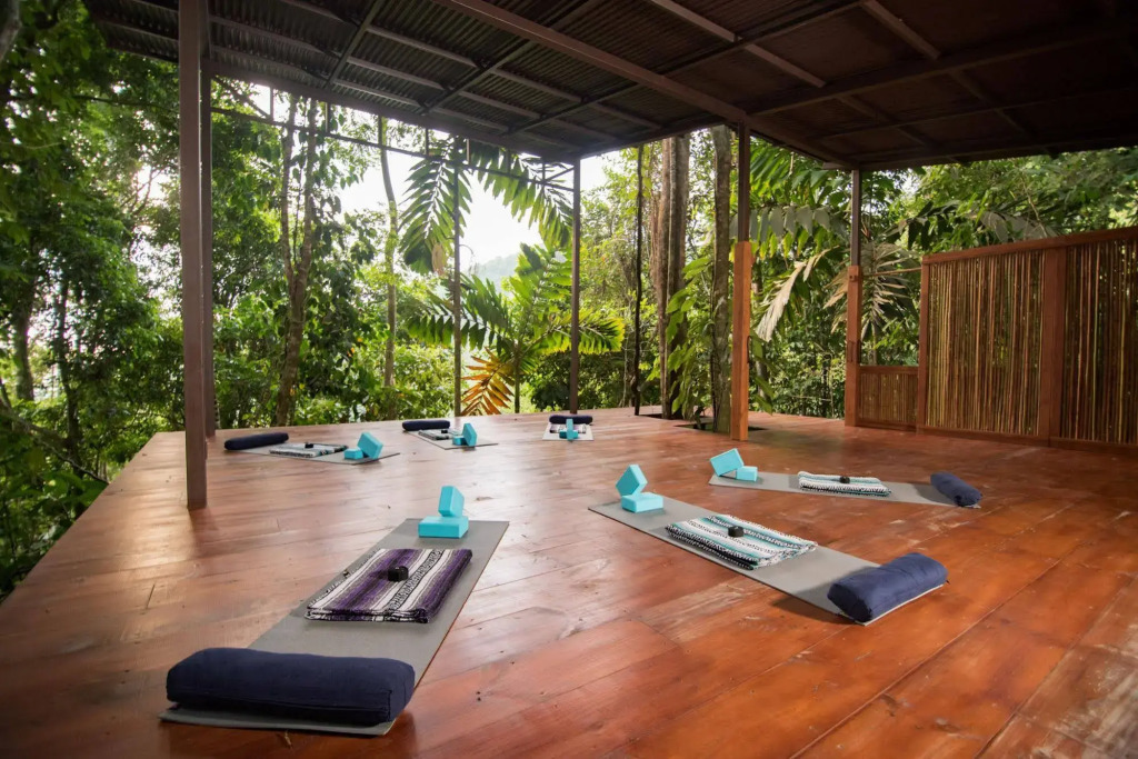 Vista Celestial - фото 21