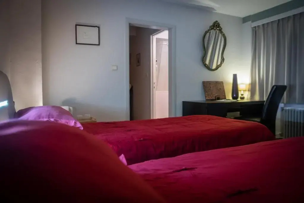 Standard Double room (twin beds)