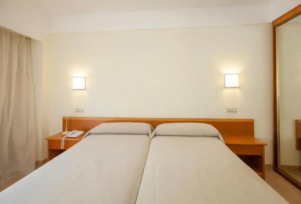 Basic Double room (twin beds)