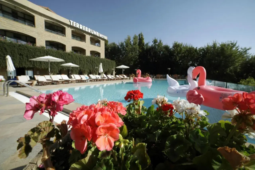 Terre Brune Hotel - фото 15