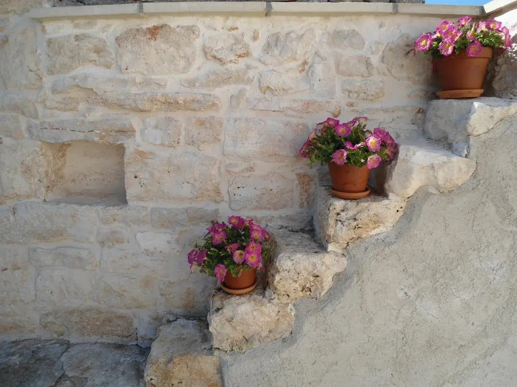 B&B Foresti