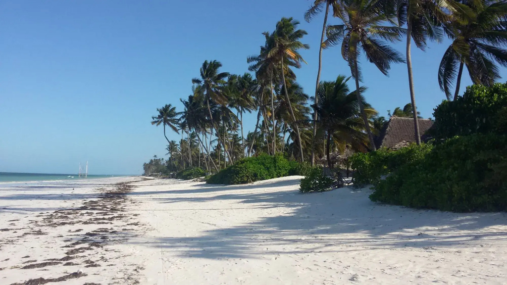 Five Palms Bwejuu - Général