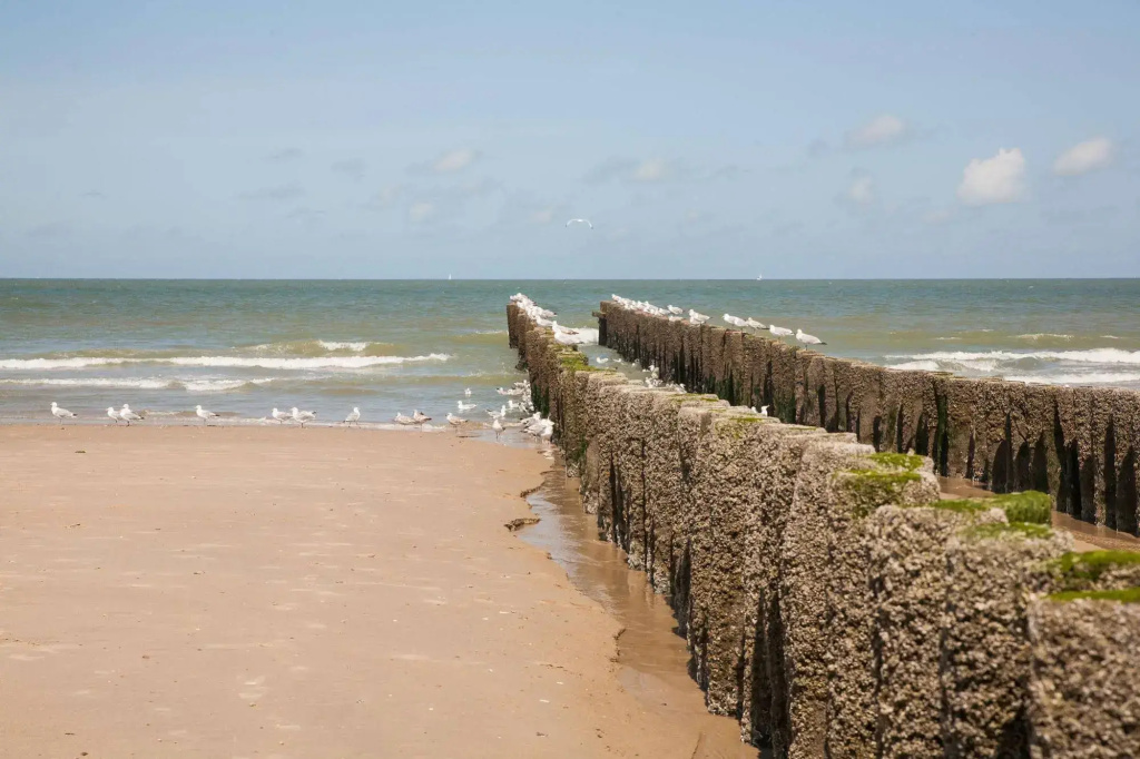 Domburg4you - Général