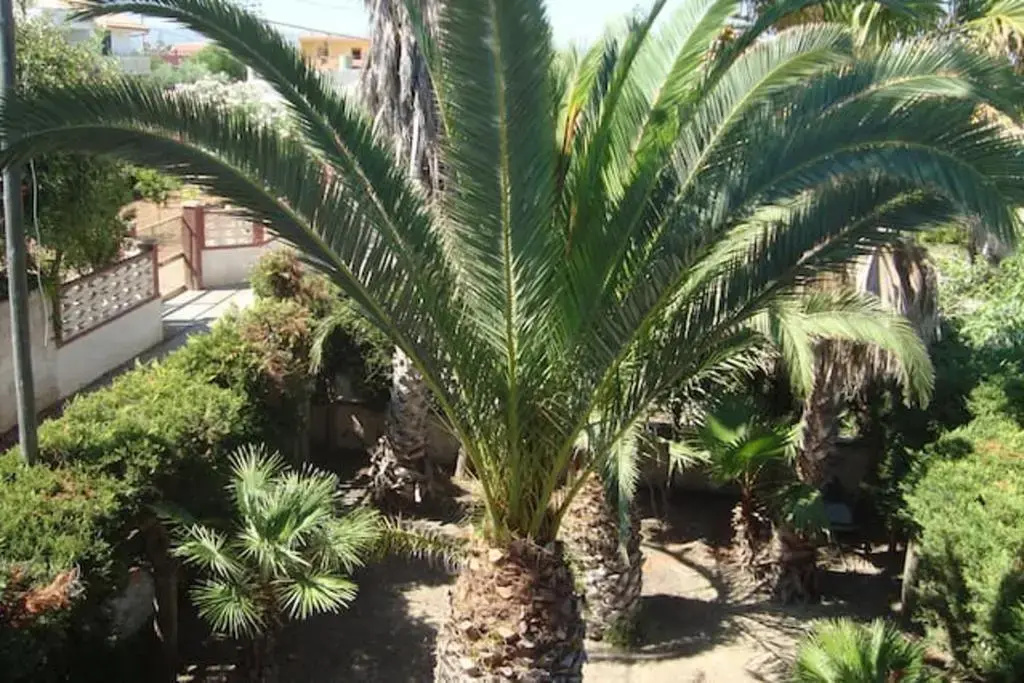 2 bedrooms house with enclosed garden and wifi at Santa Maria del Focallo