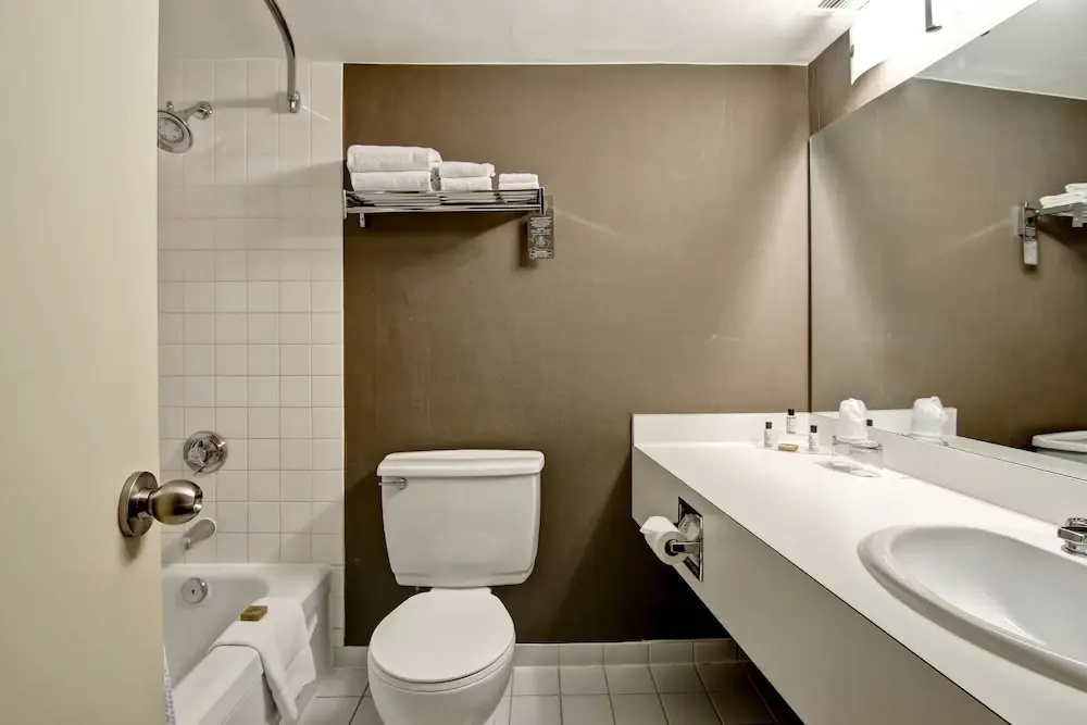 Standard Double room with city view (full double bed)