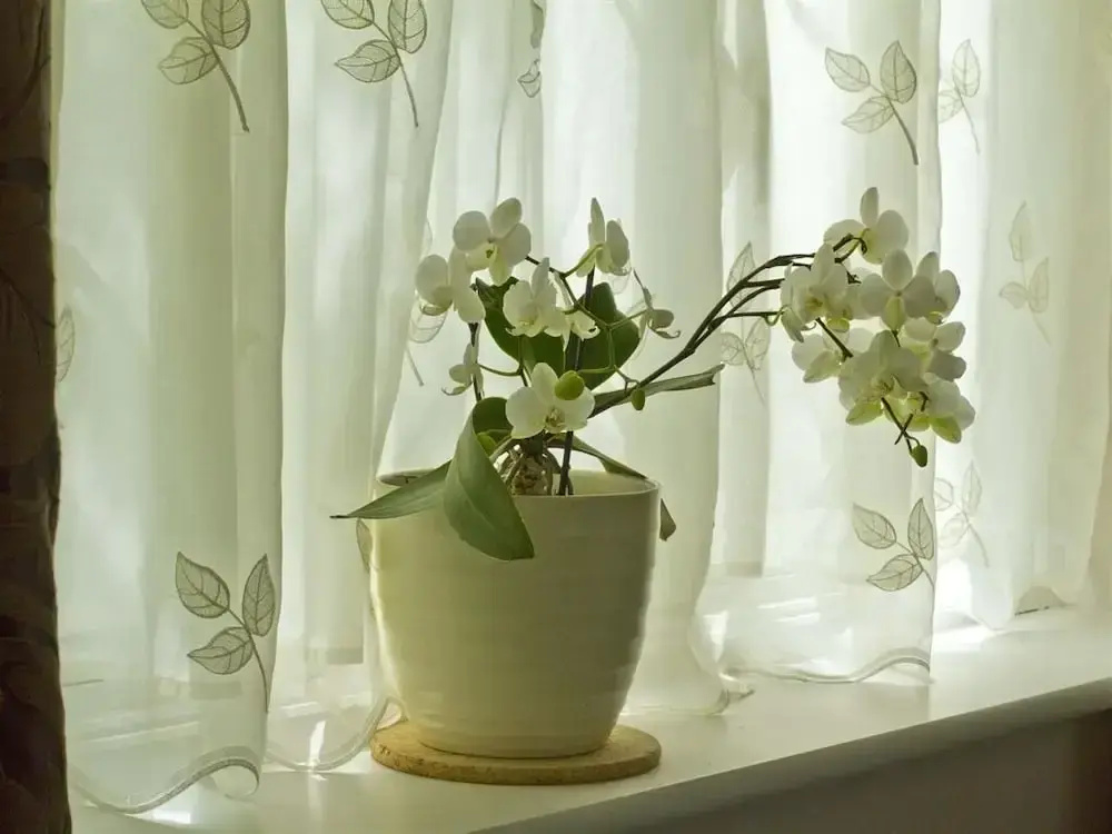 Superior Double room with garden view (full double bed)