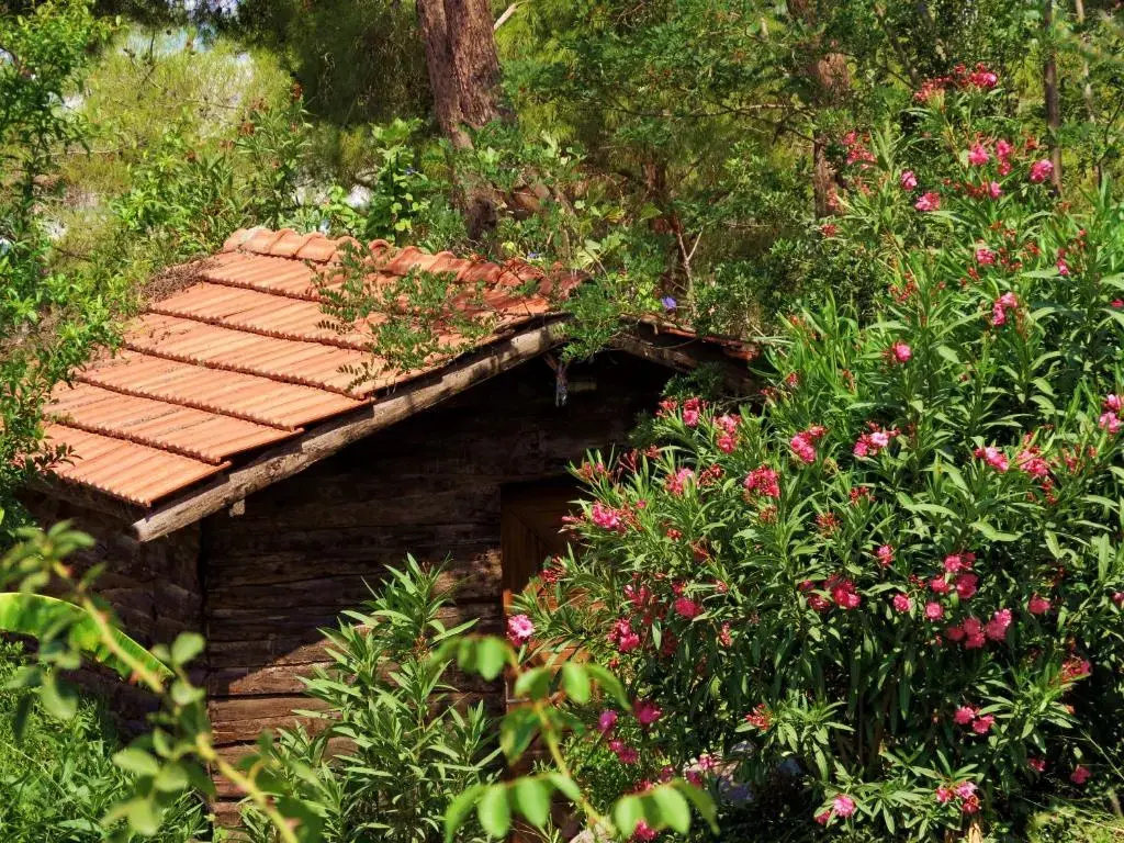 HavaSuPark Bungalows