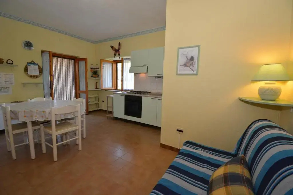Basement Apartment