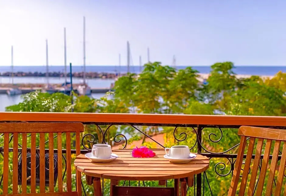 Standard room with balcony and with sea view