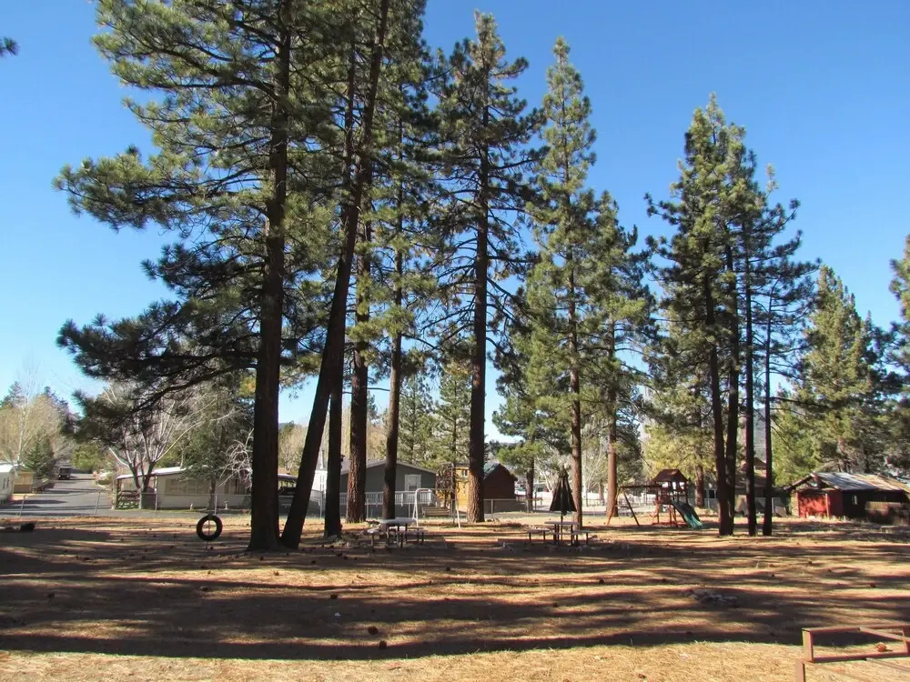 Lakewood Cabins