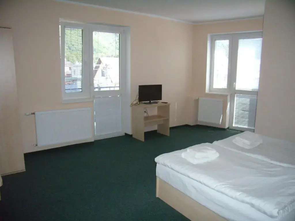 Classic Double room (full double bed)