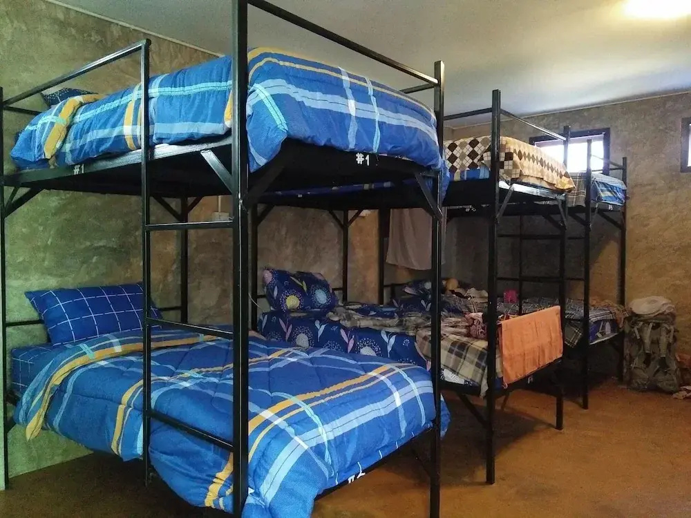 Bed in Dorm