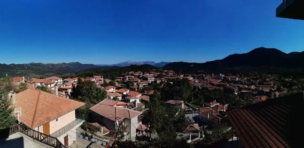 Panorama Vytinas
