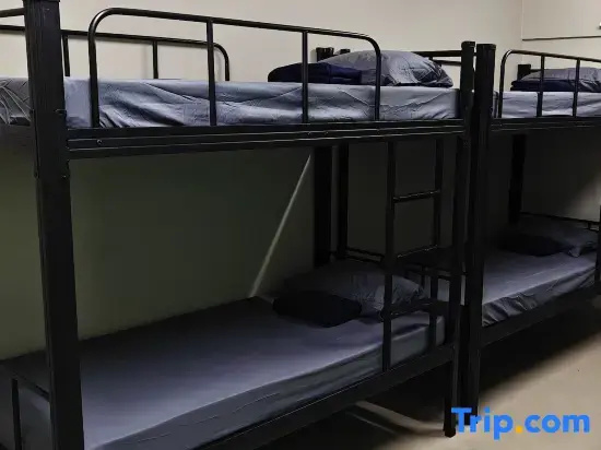 Bed in Dorm