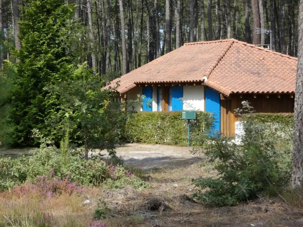 Afficher la photo 8 — Gite Luxey, 3 pièces, 4 personnes - FR-1-360-171