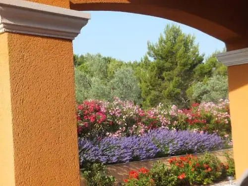 Balcony & Terrace