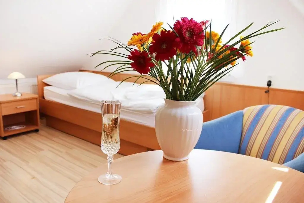 Hotel Pension Kirschstein - Général