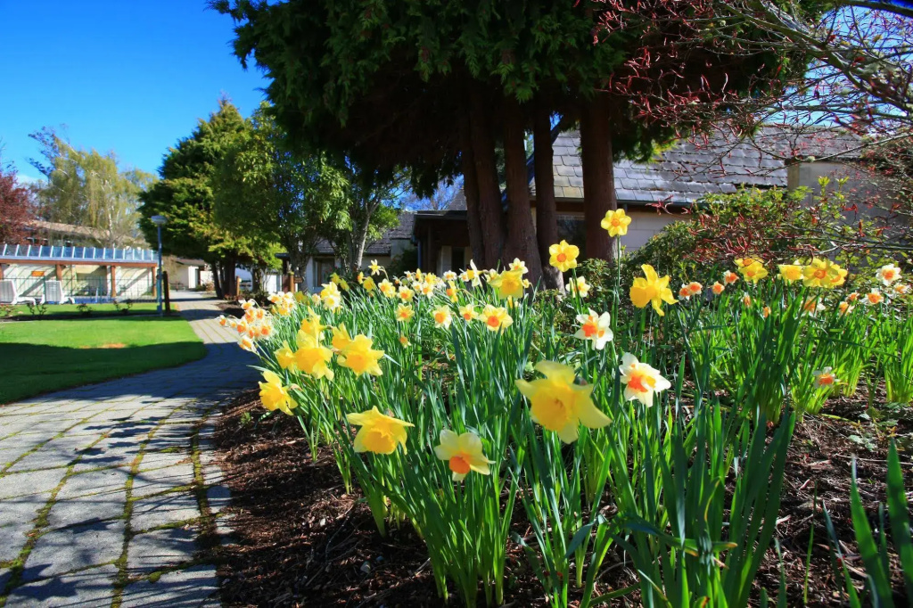 Distinction Te Anau Hotel And Villas - Général