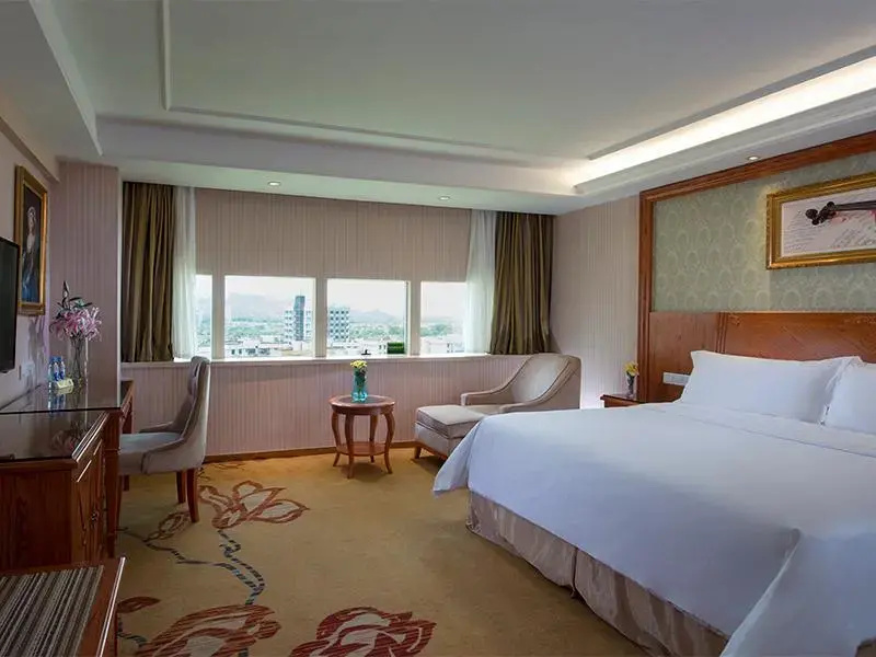 Vienna Hotel Mix City - Général