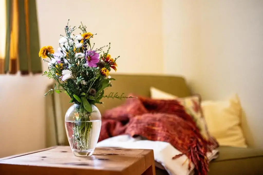 Der Winzerhof Bed & Breakfast Achau - Chambres