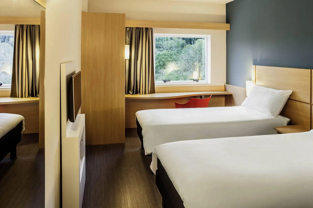 Ibis Juiz De Fora - Général
