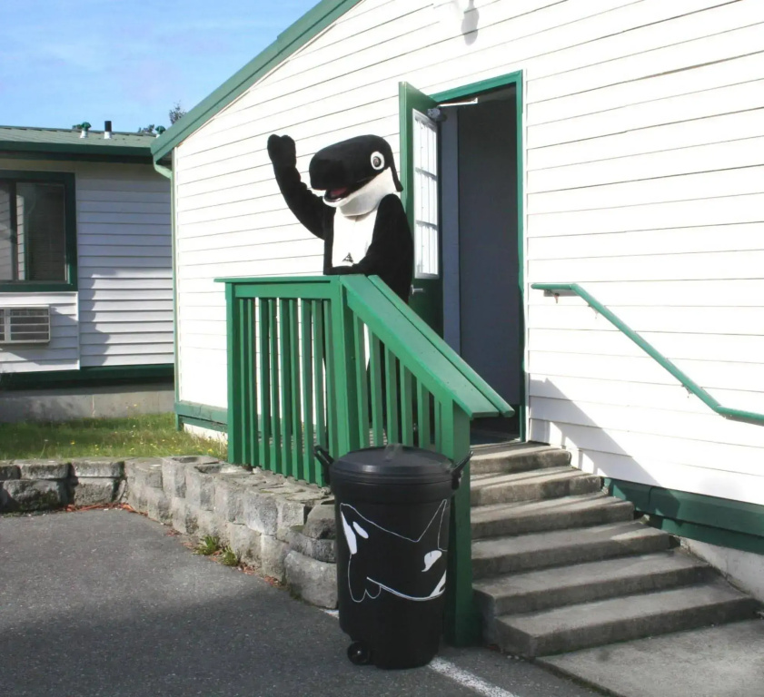 The Orca Inn - Général
