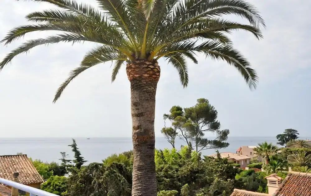 Beach & Waterfront
