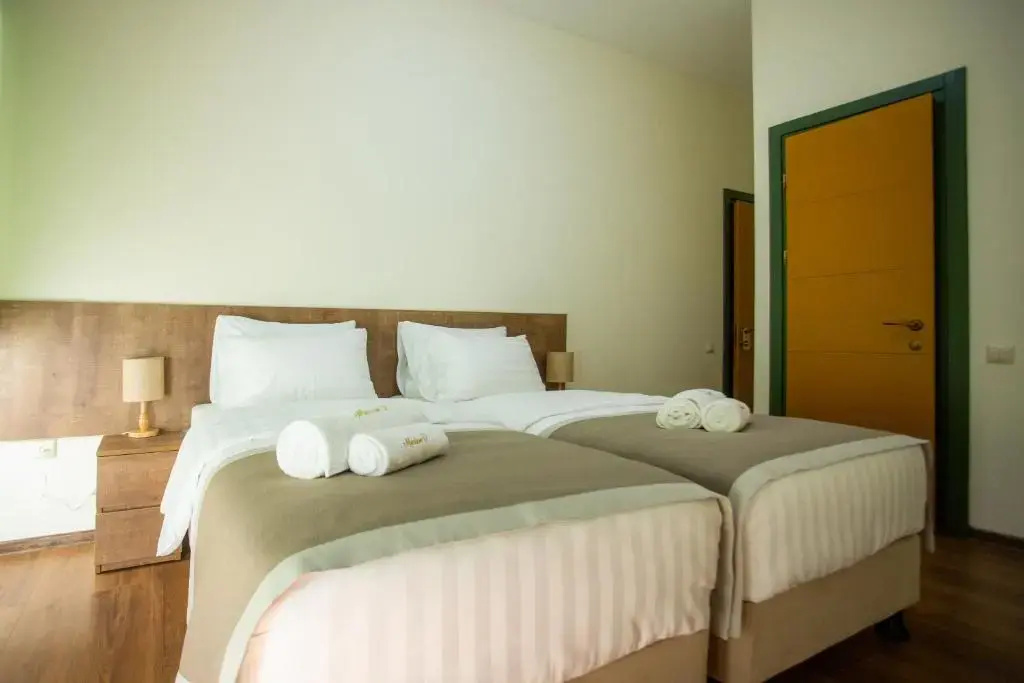 Standard Double room (twin beds)
