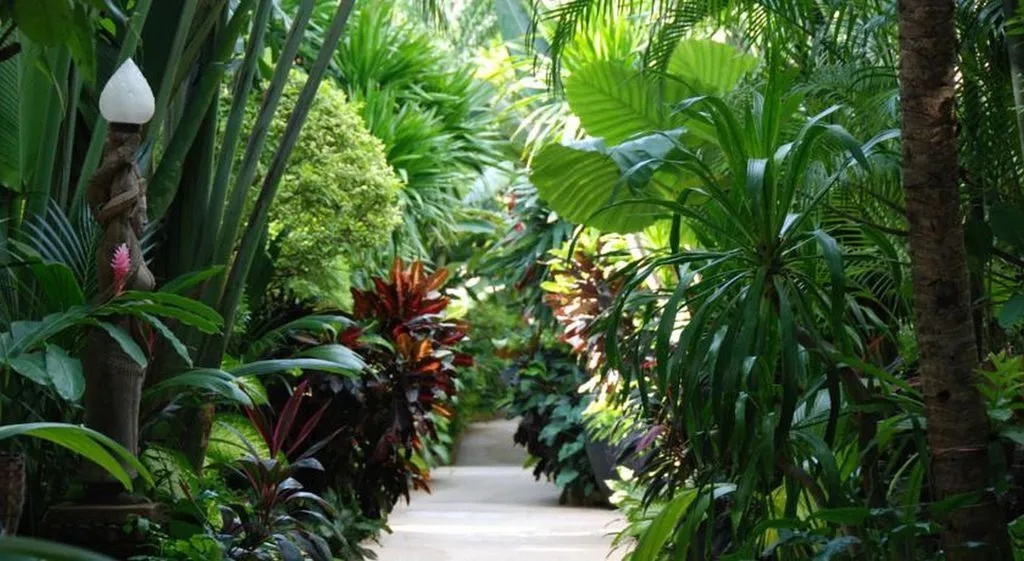 White House Beach Resort - Général