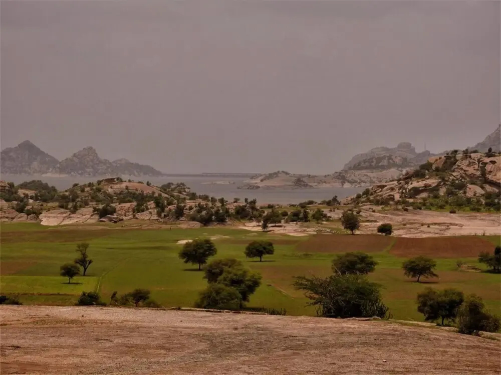 Aravali Nature Camp
