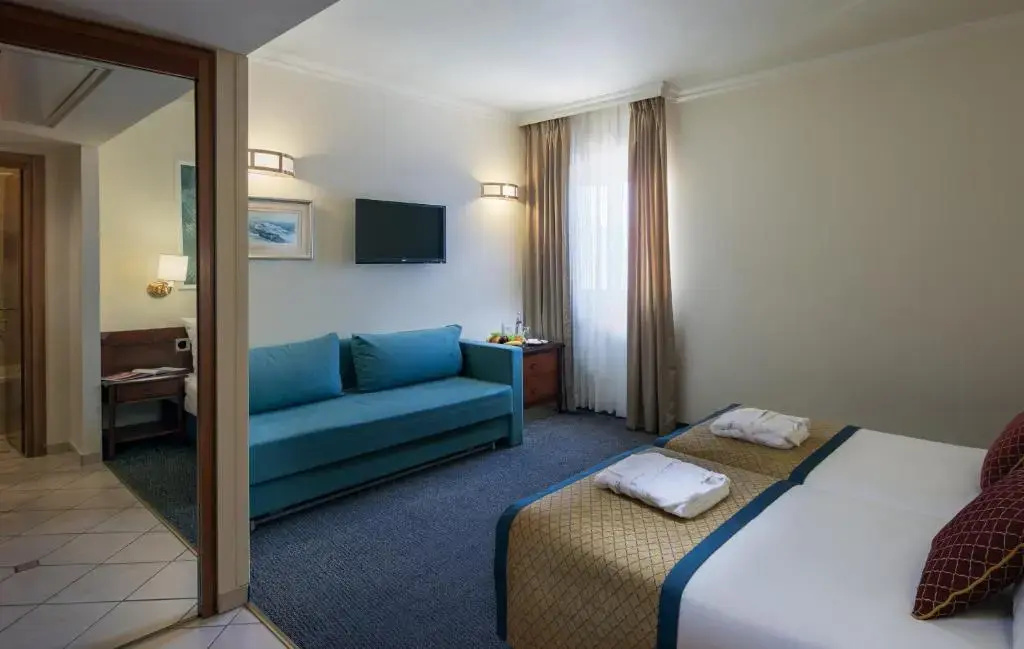 Deluxe Double room (full double bed)