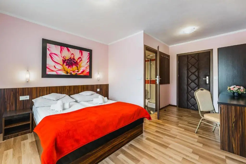 Standard Double room (full double bed)